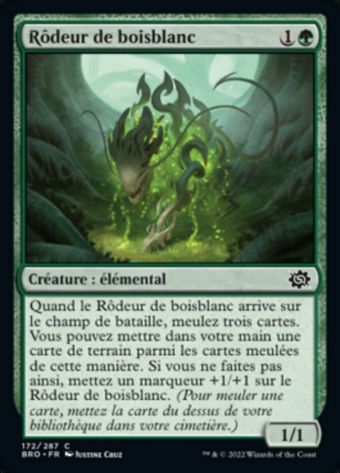 Rôdeur de boisblanc