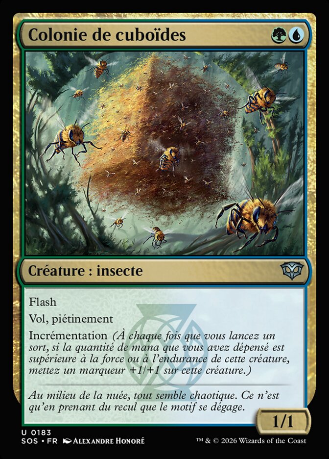 Colonie de cuboïdes