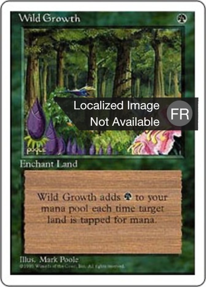 Végétation luxuriante