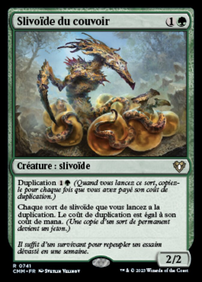 Slivoïde du couvoir