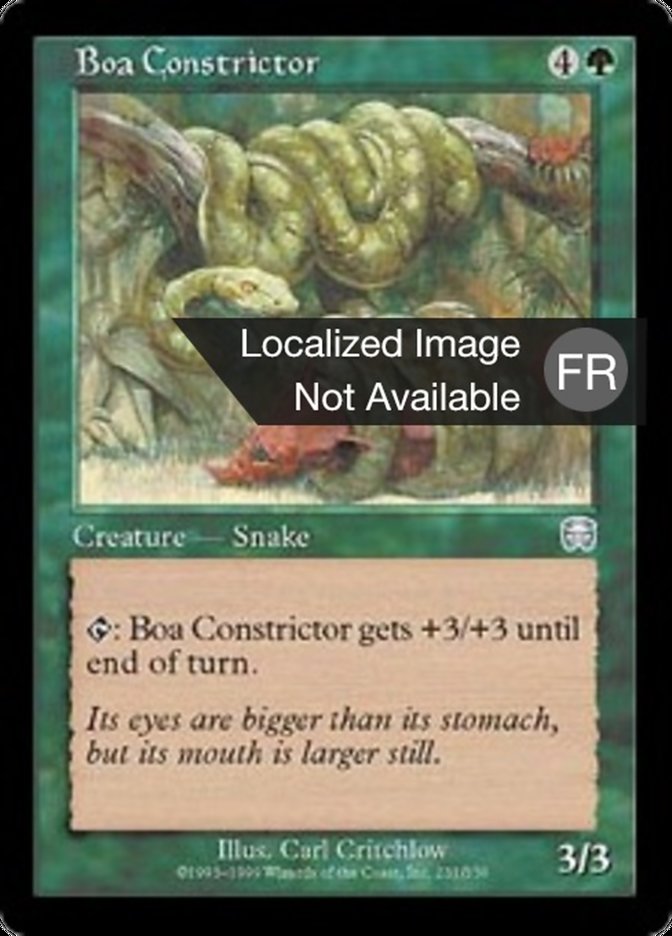 Boa constrictor