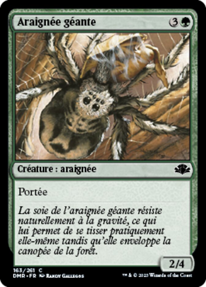 Araignée géante