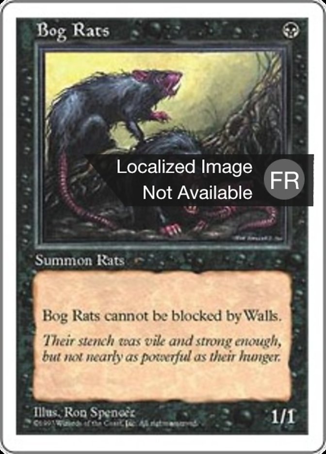 Rats des marécages