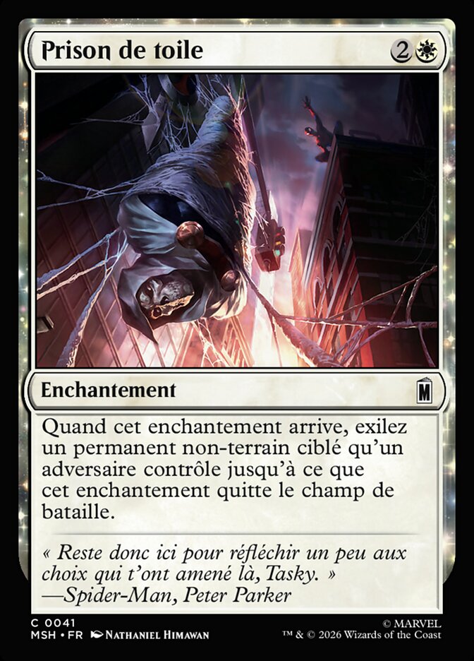 Prison de toile
