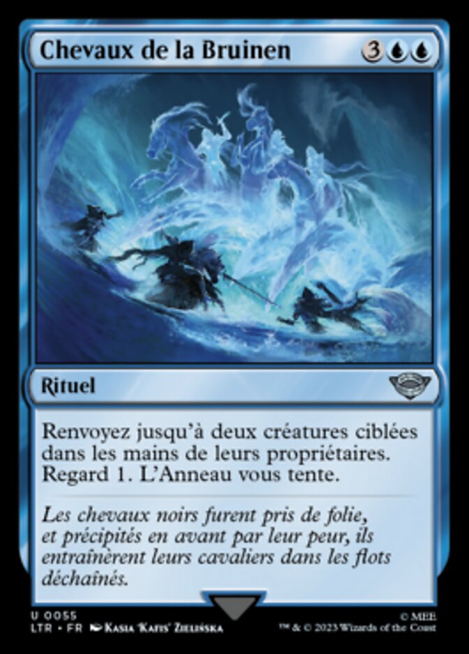 Chevaux de la Bruinen