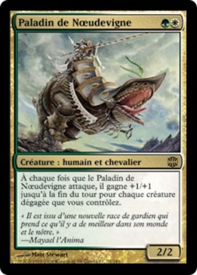 Paladin de Nœudevigne