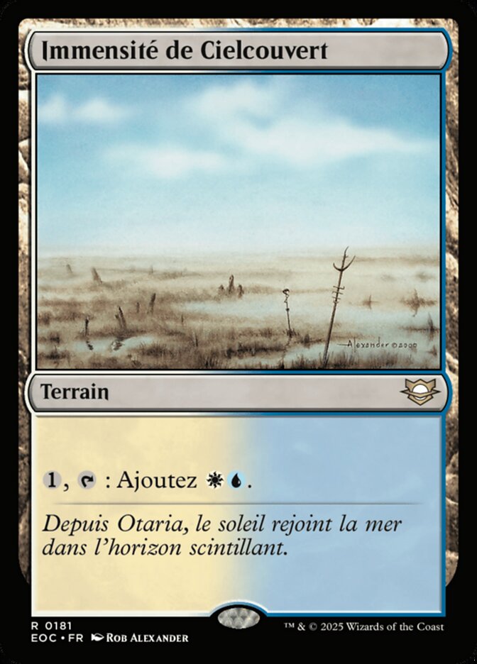 Immensité de Cielcouvert