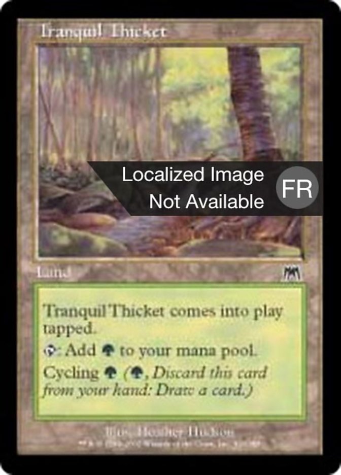 Halliers tranquilles