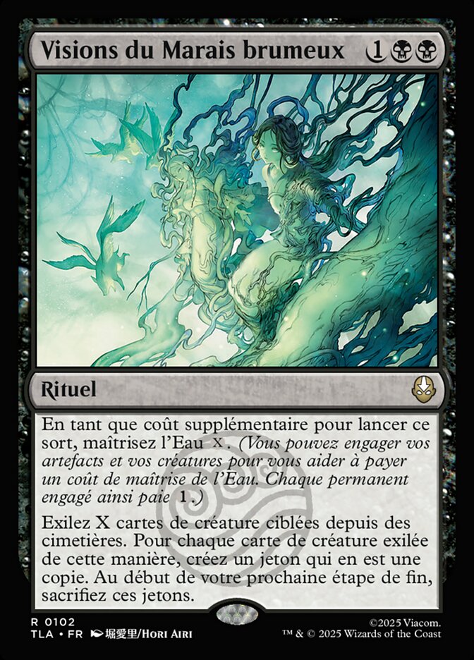 Visions du Marais brumeux