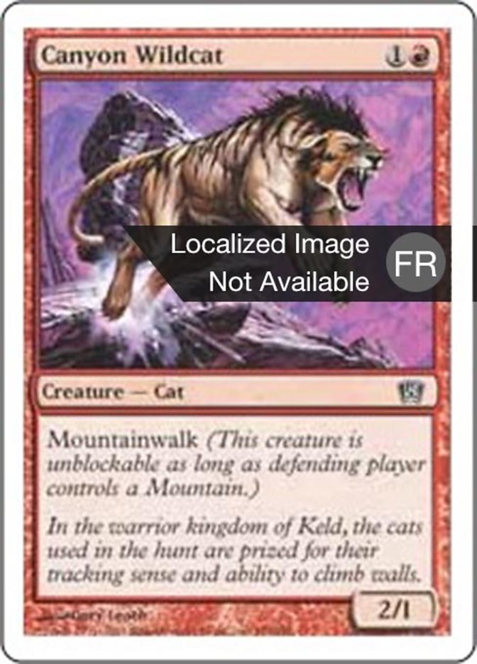 Chat sauvage des canyons