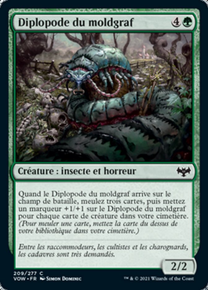 Diplopode du moldgraf