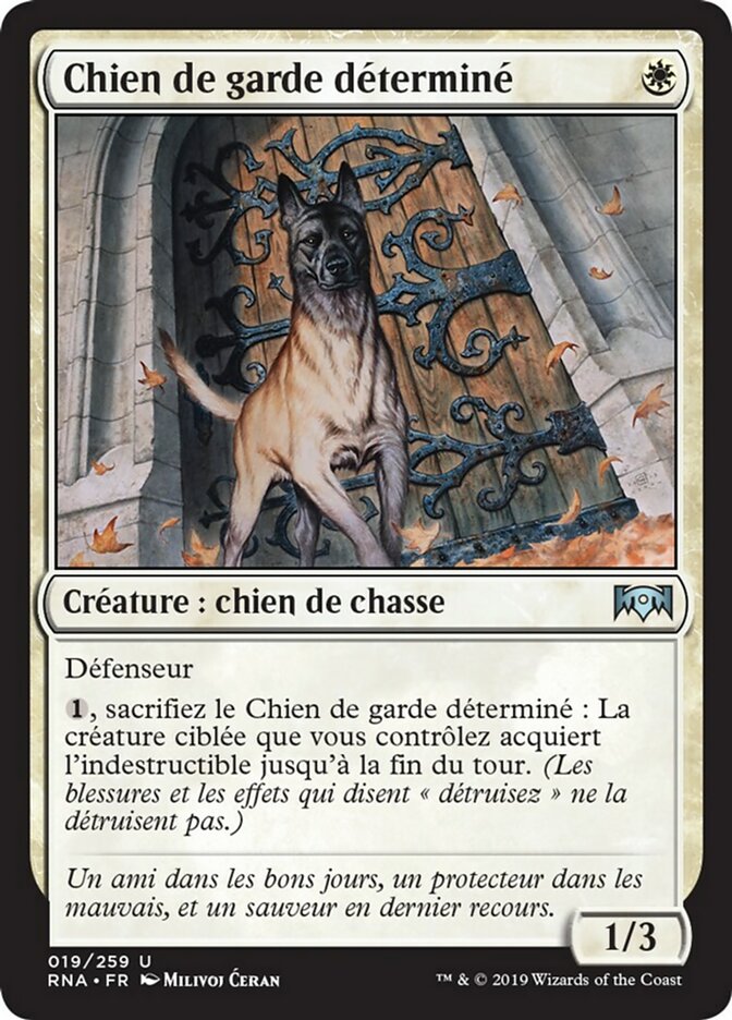 Chien de garde déterminé