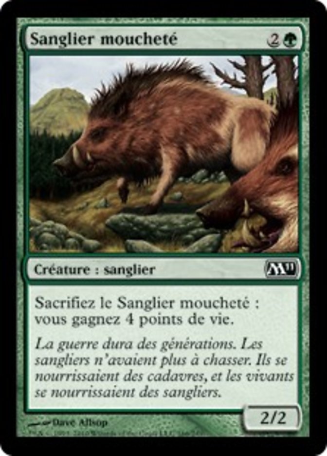 Sanglier moucheté